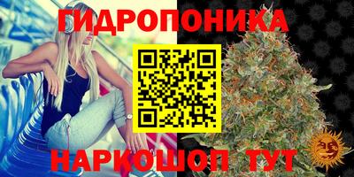 мяу мяу мука Ликино-Дулёво